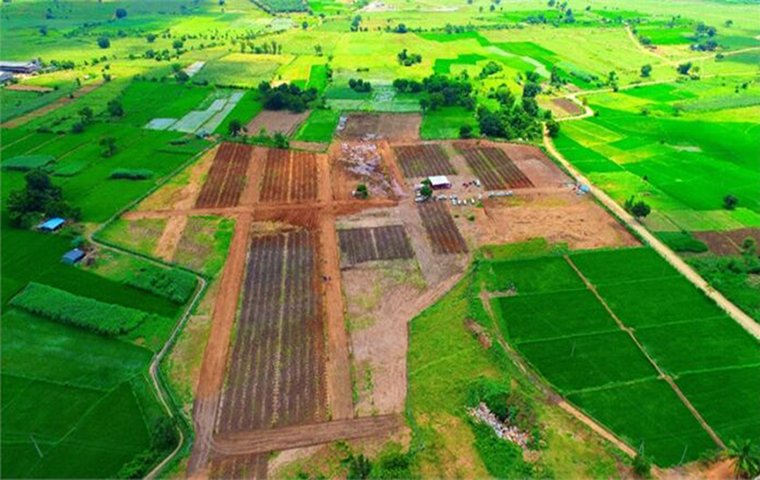 Plotting Layout